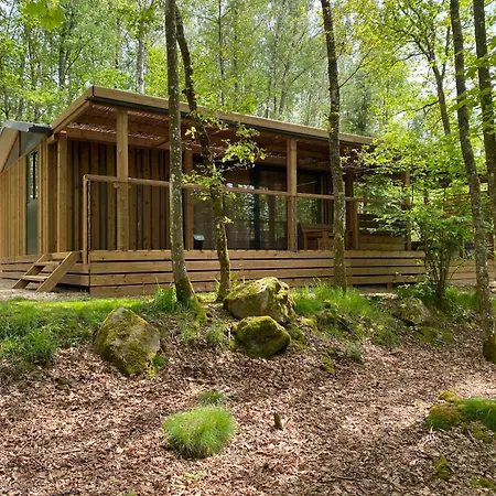 Domaine Du Hygge Chalets Lodges & Spa Anould Exterior foto