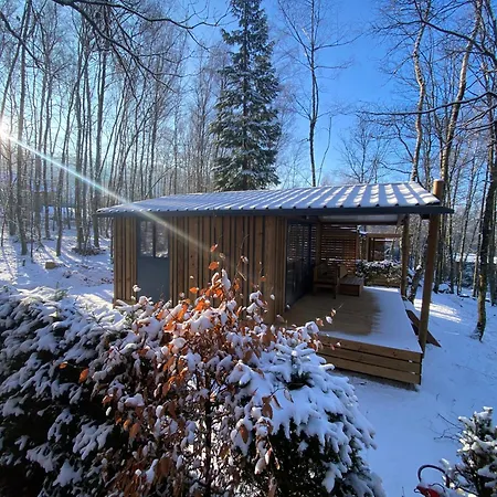 Domaine Du Hygge Chalets Lodges & Spa Anould Exterior foto