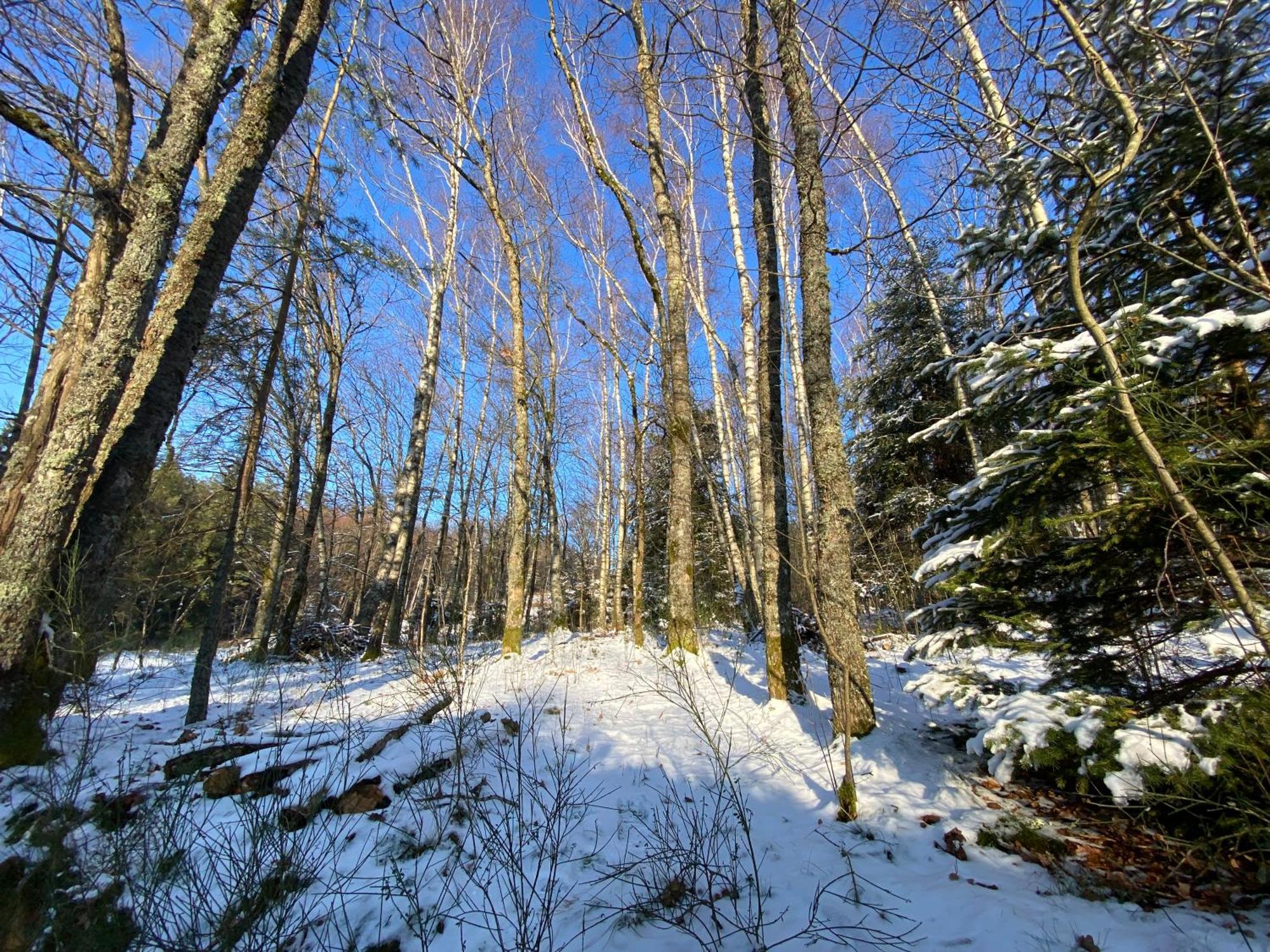 Chalet Domaine Du Hygge &